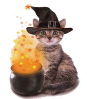 a halloween kitty